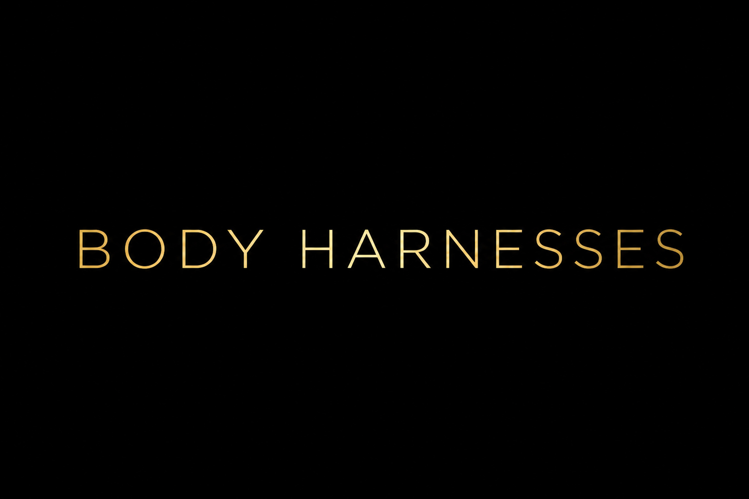 Body harnesses